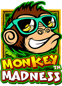 สูตร casino hacker ฟรี ที่น่าลองเล่นในปี 2023